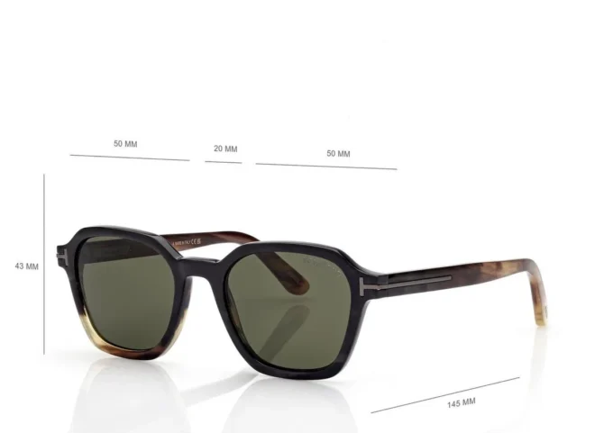 Geometrische Horn-Sonnenbrille Geometrische Horn-Sonnenbrille