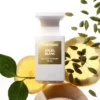 Soleil Blanc Endless Summer Set